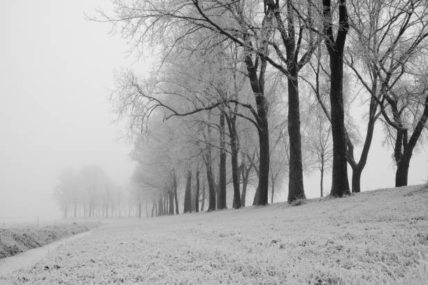 istock Frosty winter landscape during an early misty morning 1011172422