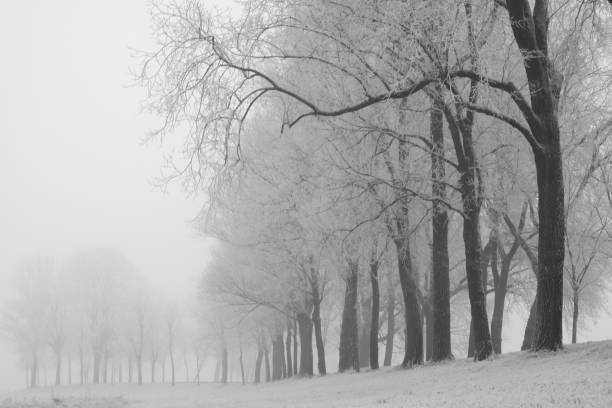 istock Frosty winter landscape during an early misty morning 1011172434
