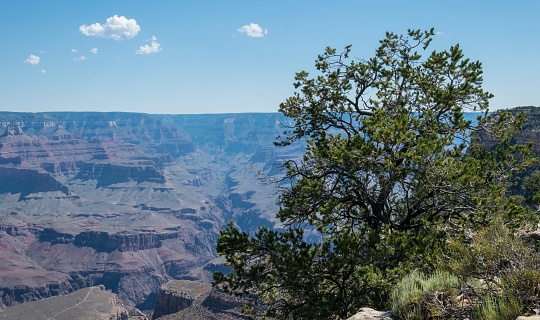 Panorama of the Grand Canyon in Arizona. Deep gorge and weathered rocks. Southwest Tourist Attraction