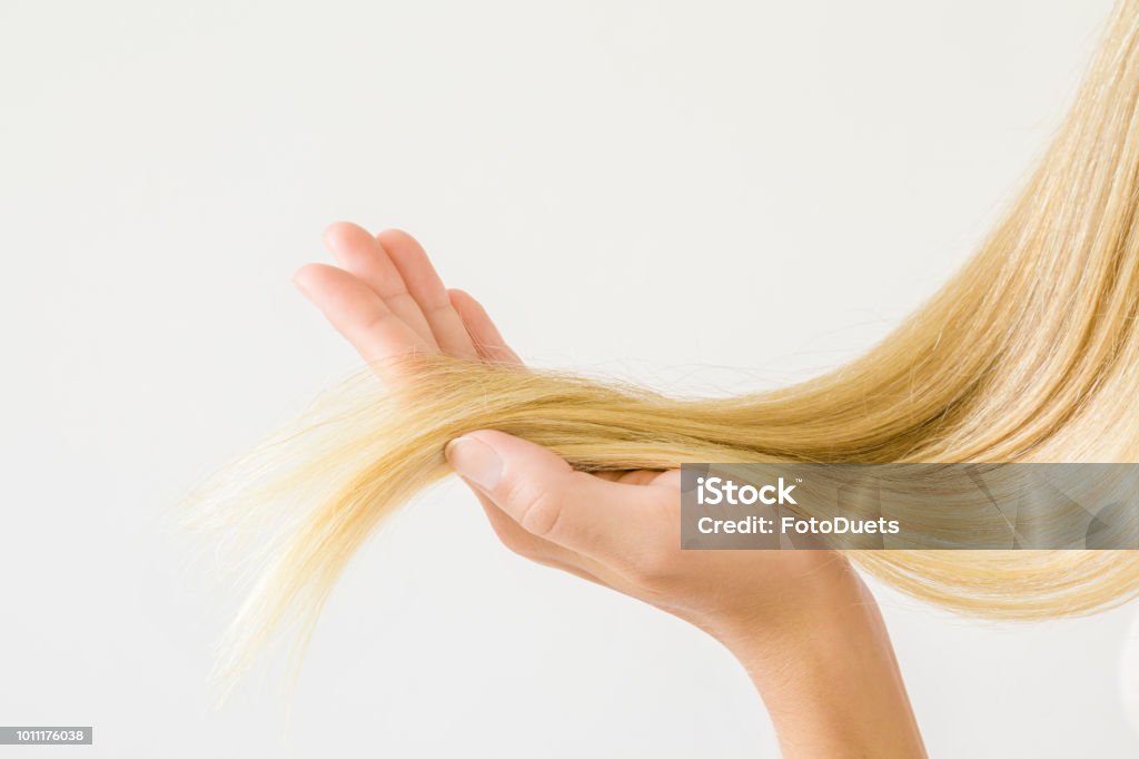 Womans Hand Holding Her Perfect Groomed Blonde Hair On The Light Gray  Background Love And Care About Beautiful Healthy And Clean Hair Daily  Preparation For Good Looking Stock Photo - Download Image