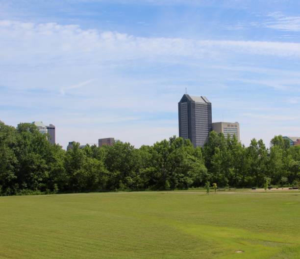 istock Grass Field in City Park 1011176578