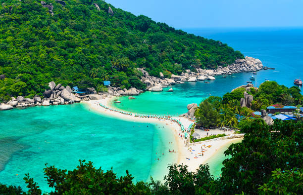 oddzielone morze w koh nang yuan, tajlandia. - kuai zdjęcia i obrazy z banku zdjęć