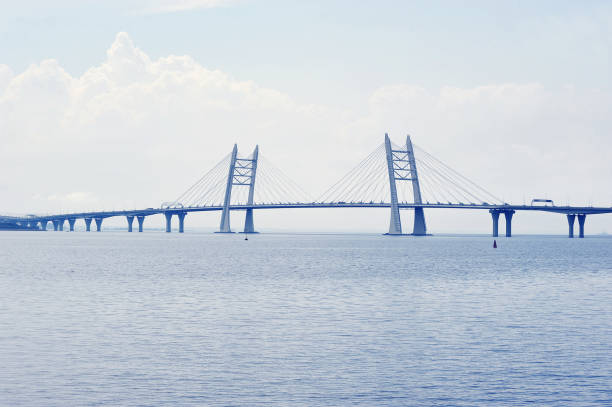 istock cable-stayed bridge in St. Petersburg 1011186706
