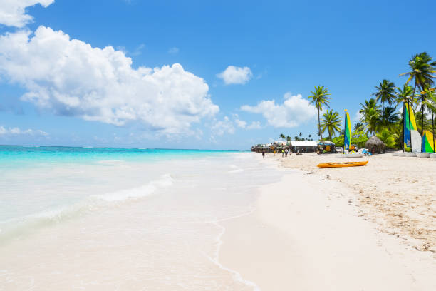 istock Coconut Palm trees on white sandy beach 1011187748