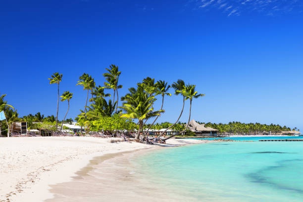 istock View of nice tropical beach with green palms around 1011187906