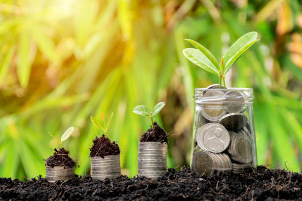 istock Full coin above the tree is growing. 1011190054