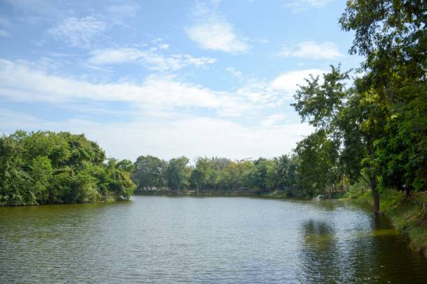 istock large river in country Thailand 1011190064
