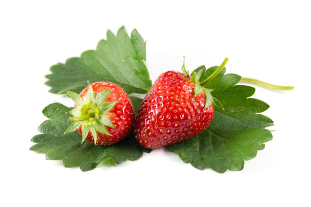 istock fresh strawberries with leaves on white background 1011205178
