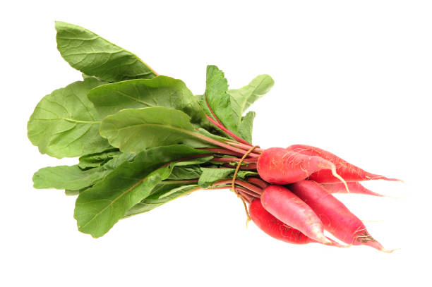 istock Red long Radish isolated in a white background 1011217798