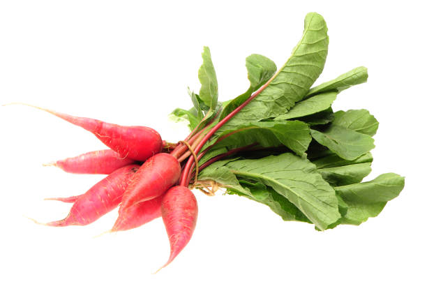 istock Red long Radish isolated in a white background 1011217850