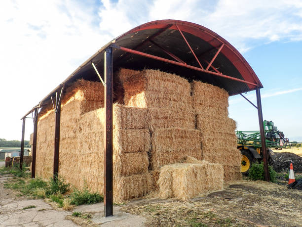 istock Hay bales piled up in barn 1011227622