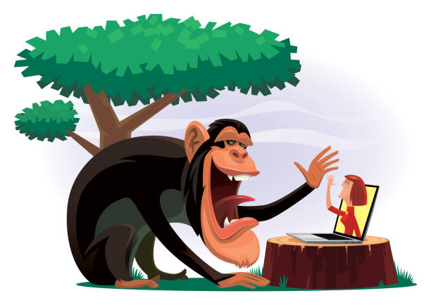 Chimpanzee Video Chatting With Girl Via Laptop Stock Illustration -  Download Image Now - Ape, Monkey, Using Laptop - iStock