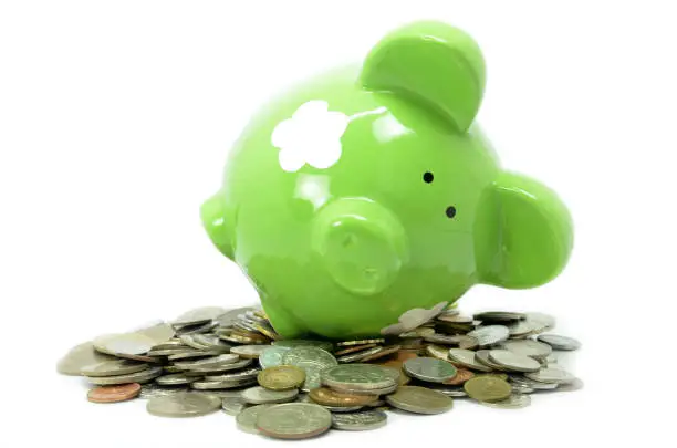 Piggy bank style money box isolated on  white background