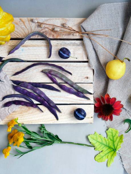 istock seasonal decorative composition, autumn, summer still life, top view 1011234944