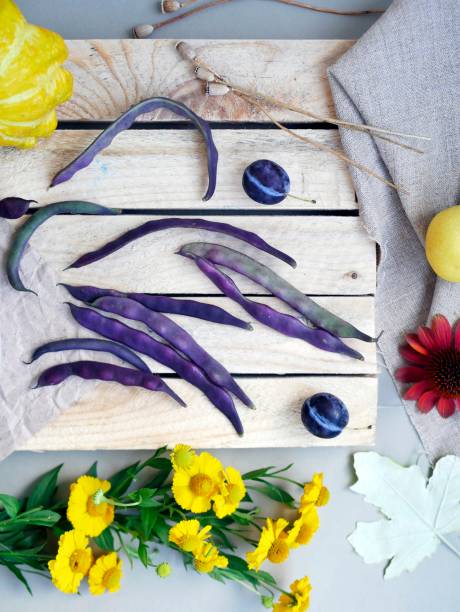 istock seasonal decorative composition, autumn, summer still life, top view 1011235024