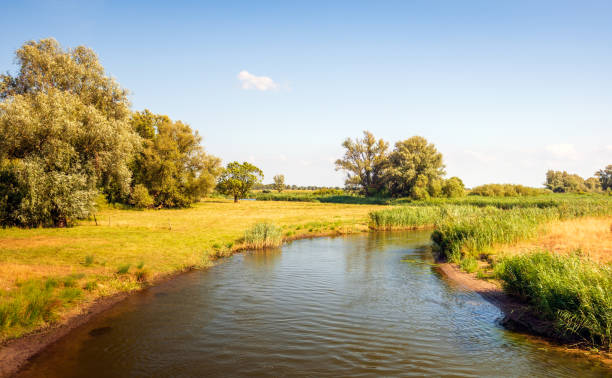 istock Curve in a stream in a nature reserve 1011236236