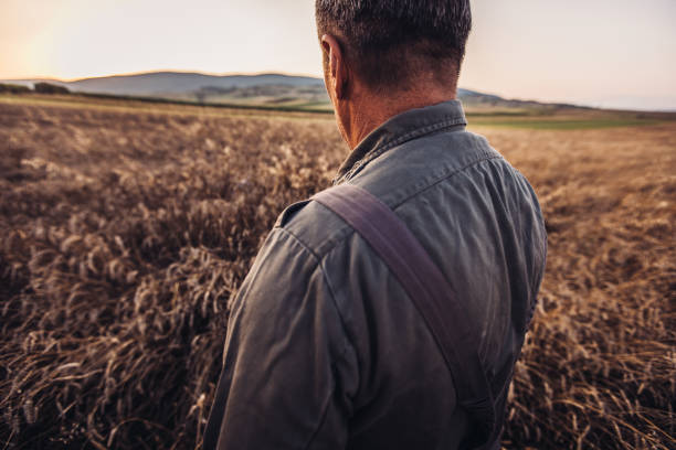 istock Farmer in yellow wheat meadow .Freedom concept 1011241146