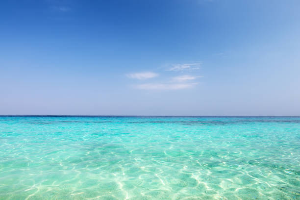 istock Wave of the sea on the sand beach. 1011241776