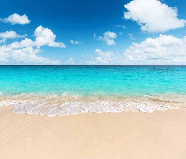 istock Wave of the sea on the sand beach 1011241840
