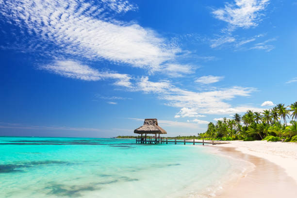 istock Beautiful gazebo on the tropical white sandy beach 1011254534