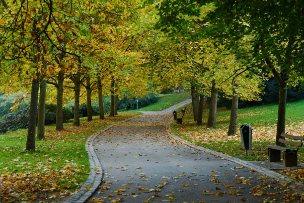 istock autumn in luxembourg 1011267968