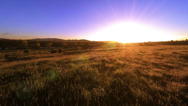 istock 4K UHD mountain meadow timelapse at the summer. Clouds, trees, green grass and sun rays movement 1011277036