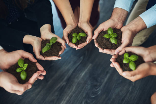 istock Grow your business from the ground up 1011279672