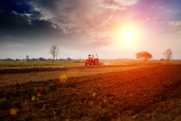 agriculteur labourage field - photography cloud plantation plant photos et images de collection