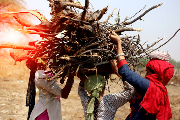 istock Rural women carrying woods on her head 1011284130