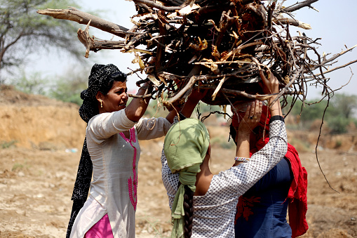 Rural women carrying woods on head & walking on country road during summer season wearing salwar kameez, portrait outdoor in the nature.