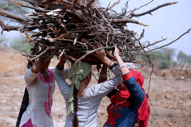 istock Rural women carrying woods on her head 1011284156