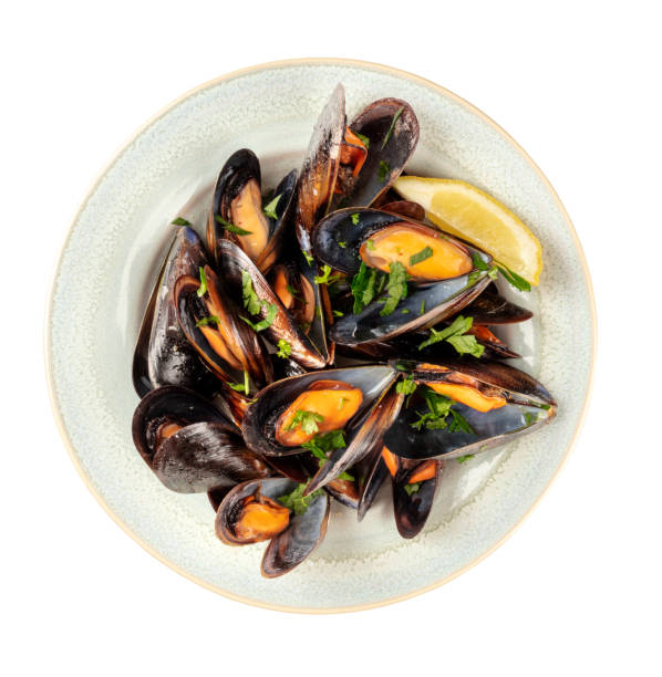 Overhead photo of cooked mussels, isolated on white with a clipping path An overhead photo of a plate of cooked mussels, shot from above on a white background, isolated with a clipping path mussel stock pictures, royalty-free photos & images