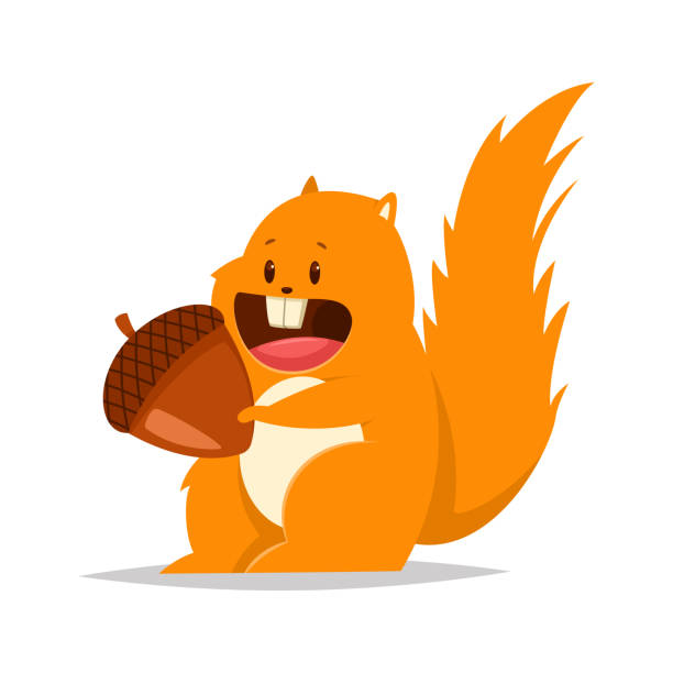 Squirrel Nuts Illustrations, Royalty-Free Vector Graphics & Clip Art -  iStock