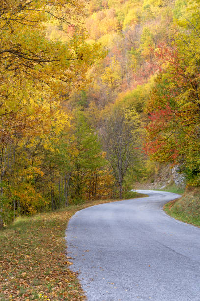 istock Alpine autunnal road 1011298028
