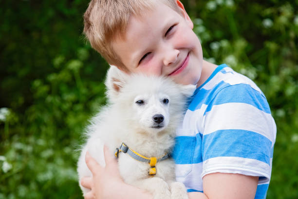 istock Dog is sitting on the hands of a man 1011303390