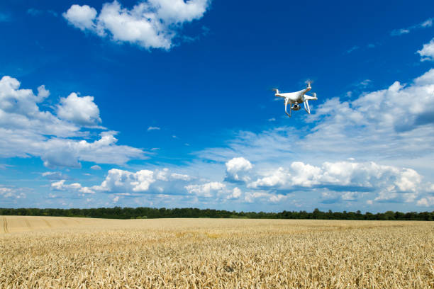 istock Flying drone above the wheat field 1011319832