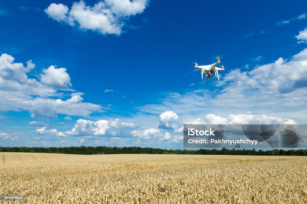 麥田上空的無人駕駛飛機 - 免版稅遙控交通工具圖庫照片