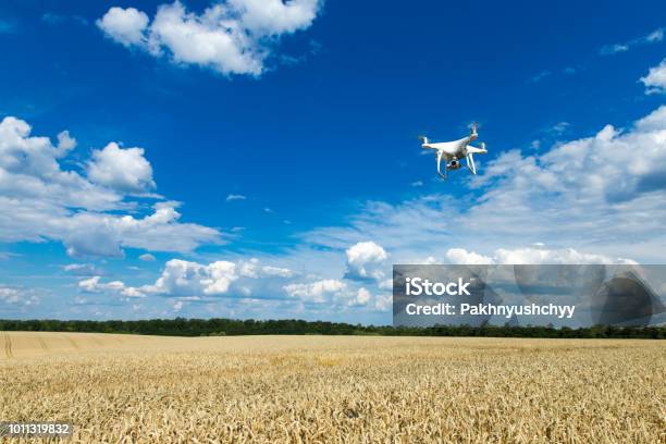麥田上空的無人駕駛飛機 照片檔及更多 遙控交通工具 照片 - 遙控交通工具, 農業, 天空