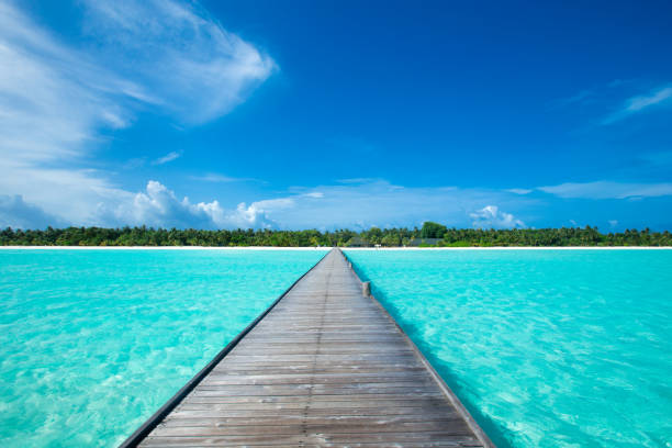 istock tropical beach in Maldives with blue lagoon 1011320172