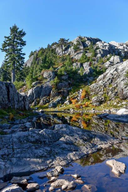 istock Mount Seymour, British Columbia 1011326862