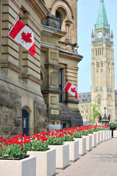 istock Ottawa's Parliament building with tulips 1011337914