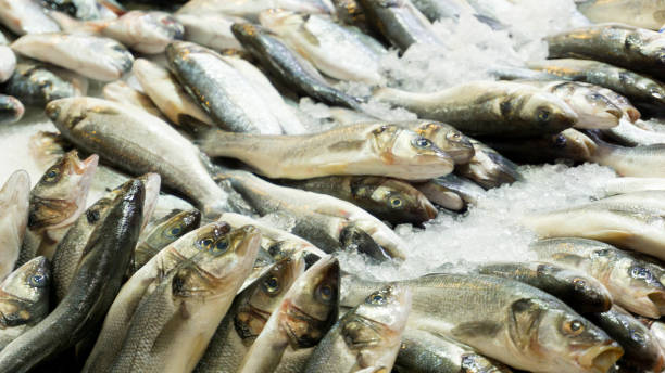istock Seafood at fish market in athens 1011344068