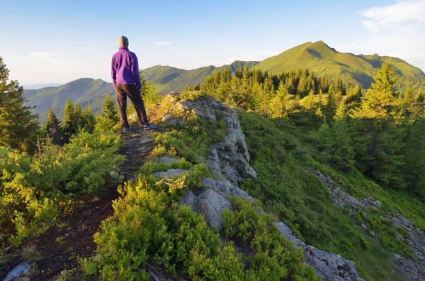 istock Traveler in the mountains 1011351336