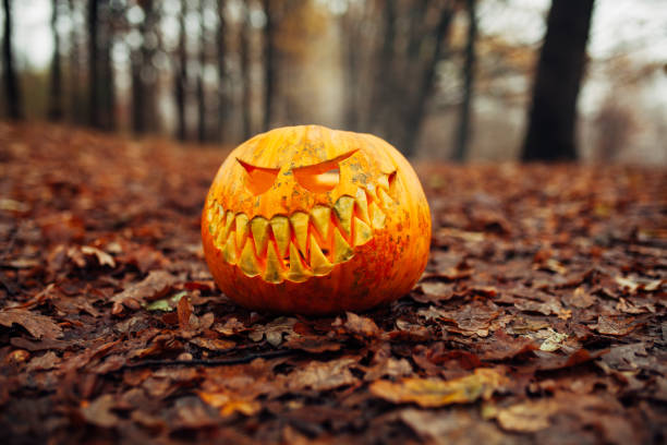 Halloween scary pumpkin in autumn forest One pumpkin background.