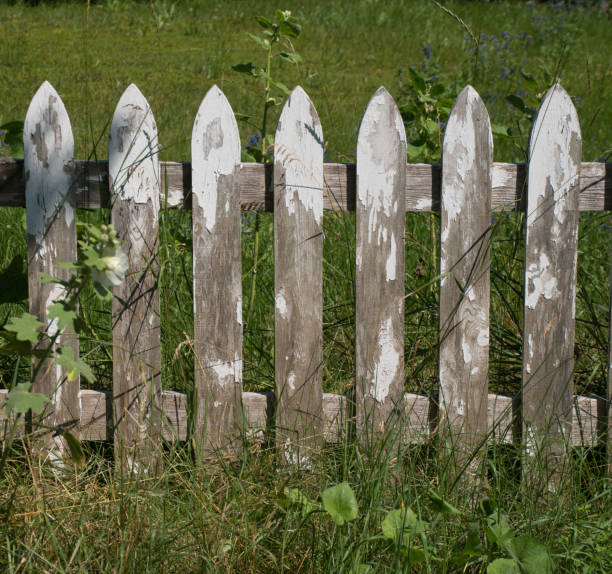 grungy vecchio tempo tempo bianco picchetto recinzione sfondo sfondo - picket fence grass gardens nature foto e immagini stock