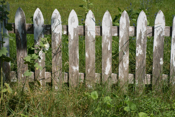 grungy vecchio tempo tempo bianco picchetto recinzione sfondo sfondo - picket fence grass gardens nature foto e immagini stock