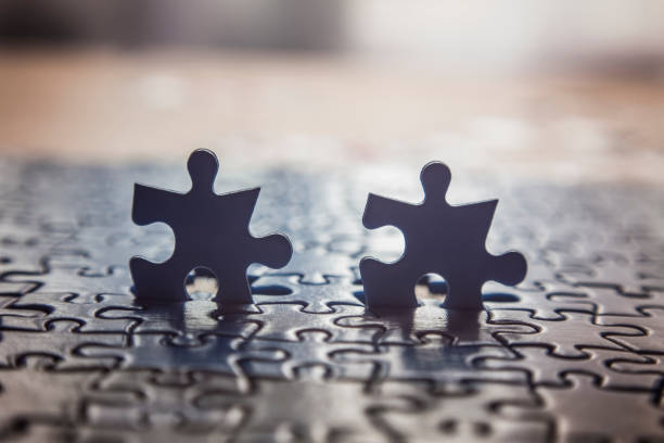 istock two puzzle pieces stand out from the crowd. 1011360870