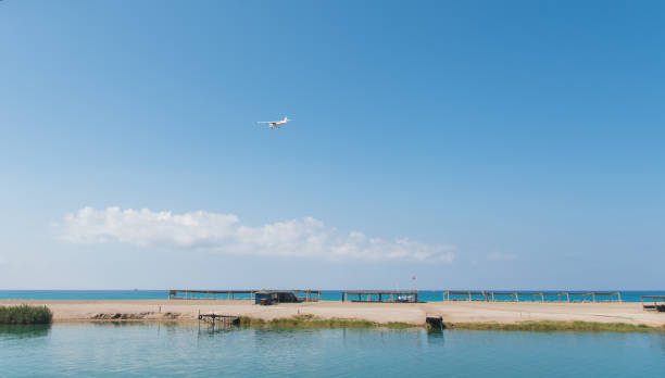 istock Flight of the Tropics 1011362440