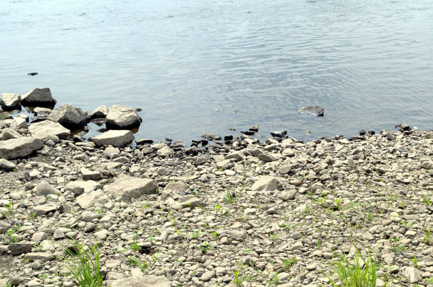 istock Stones and water of the river 1011366896