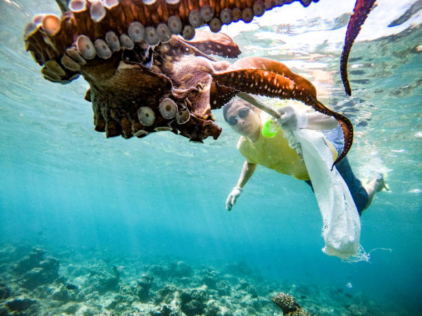 istock Adult Man Stabbing and Catching Octopus 1011367078